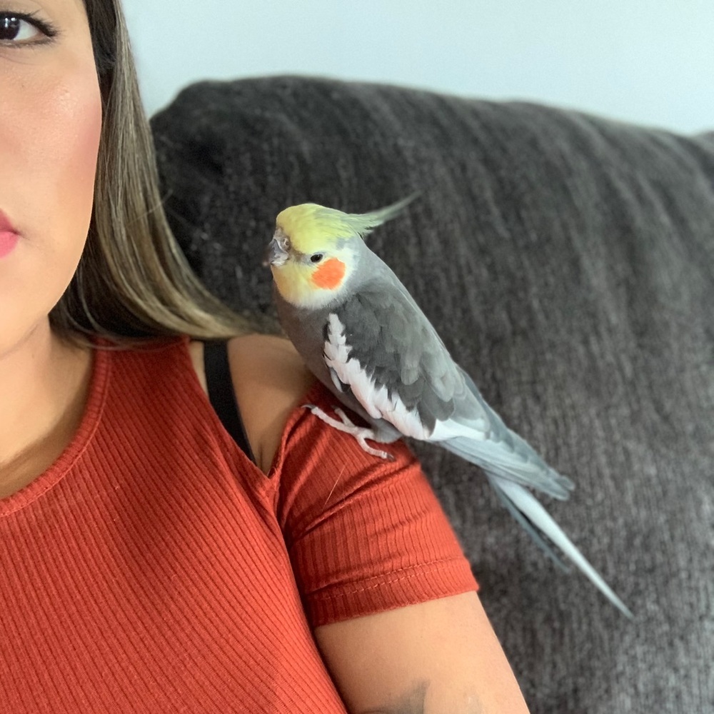 Meet your Posher, Veronica